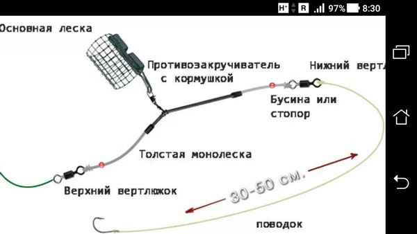 Какой должен быть поводок для ловли леща на фидер