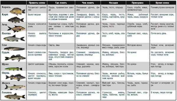 Лучшее время для поимки карася