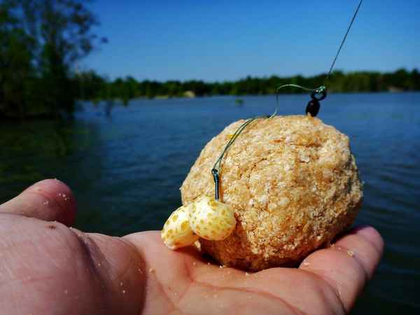 Ловля белого амура