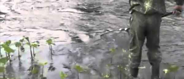 Рыбалка на карася в августе на фидер