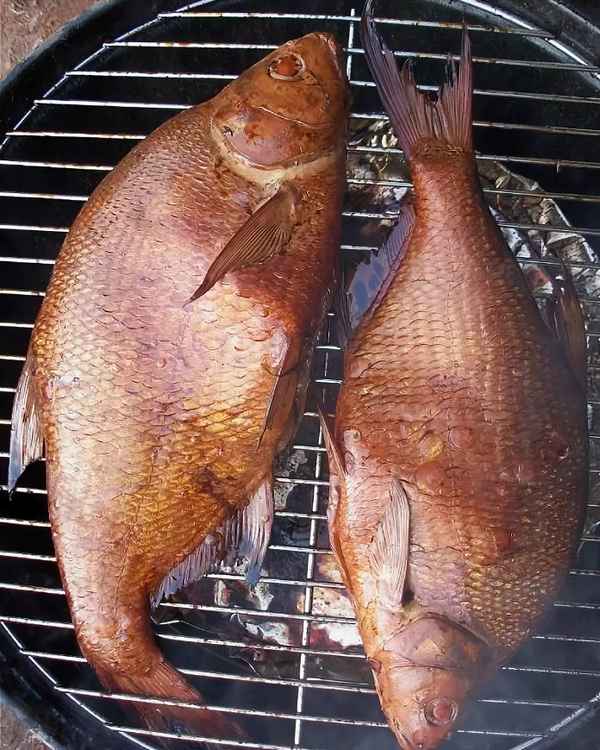 Как закоптить леща в коптильне: рецепты горячего и холодного копчения