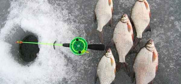 Особенности зимней рыбалки на леща