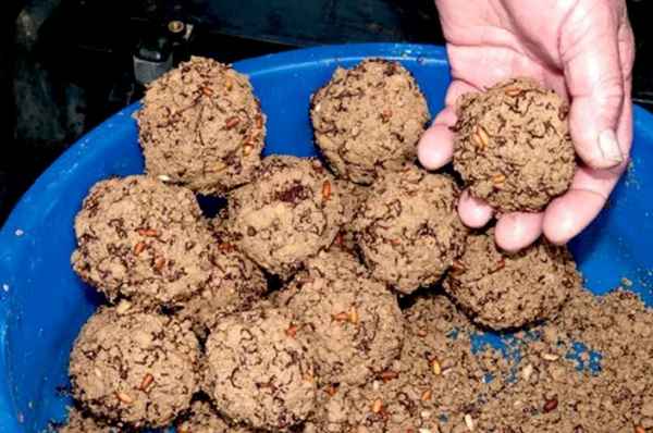 Прикормка на леща