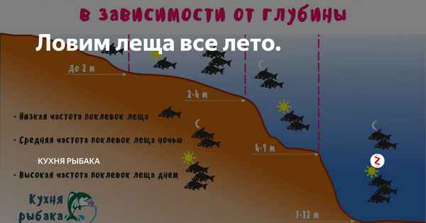 Как правильно ловить леща в июле