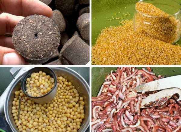 Как приготовить прикормку для леща