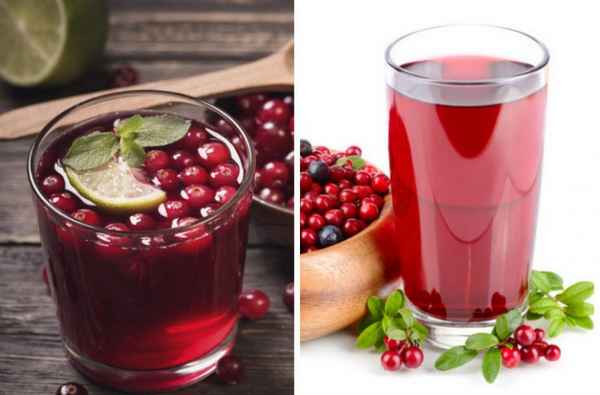 Использование брусничного морса при беременности