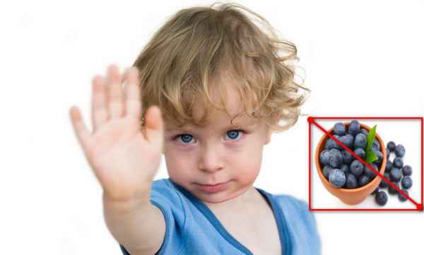 Возможна ли аллергия на чернику у детей