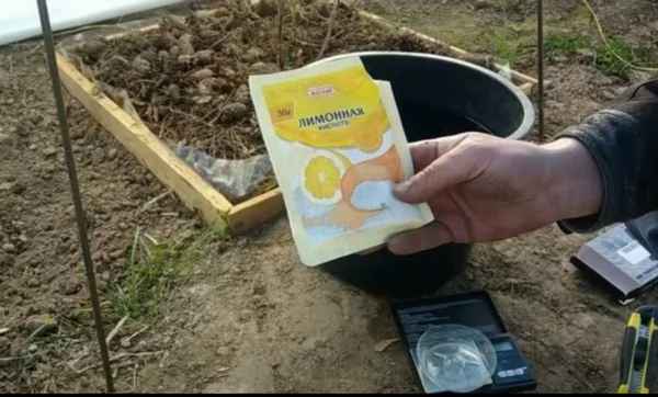 Подкисление почвы для гoлyбики лимонной кислотой