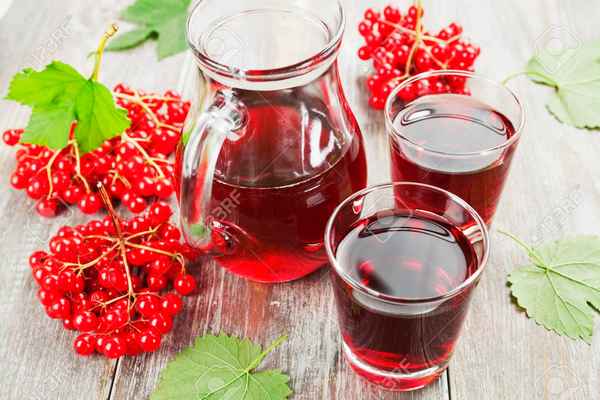 Отвар из калины: полезные свойства и противопоказания для взрослых и детей