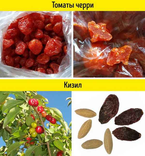 Как отличить сушёный кизил от подделки