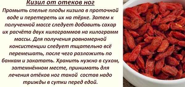 Кизил: полезные свойства и противопоказания для женщин и мужчин