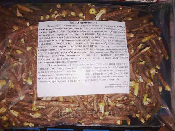 Лечебные свойства и применение лозы дальневосточного лимонника