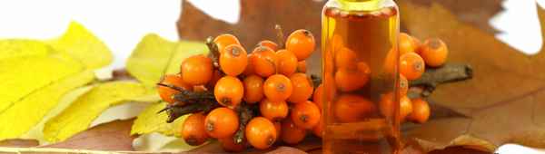 Почему облепиховое масло такое полезное и такое коварное