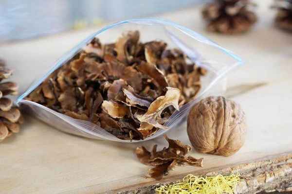 Применение отвара из перегородок грецкого ореха