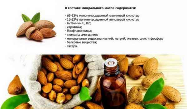 Польза и вред масла горького миндаля