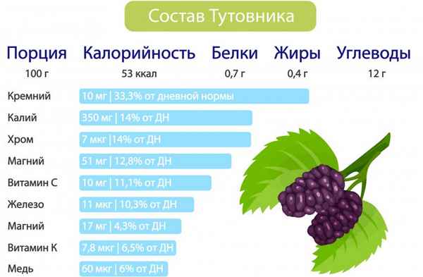 Какие сорта шелковицы лучше: состав и калорийность, полезные свойства и противопоказания