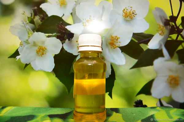 Жасминное масло для лица