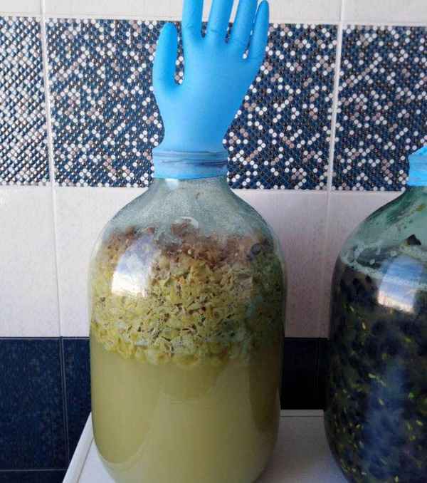 Как правильно приготовить вино из белого винограда