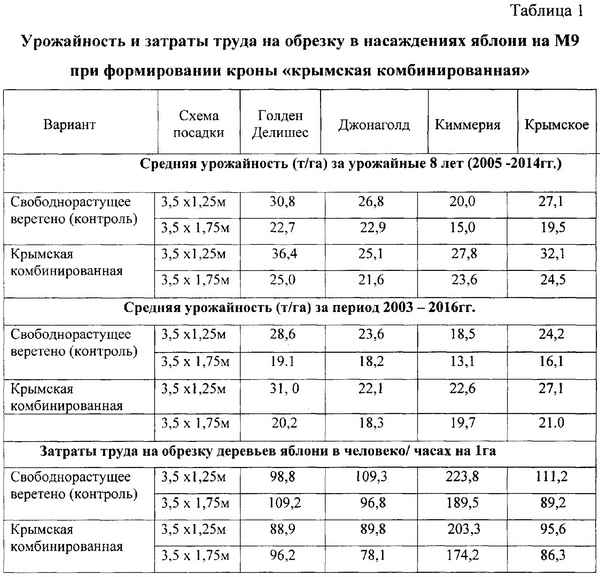 Урожайность яблок с одного дерева