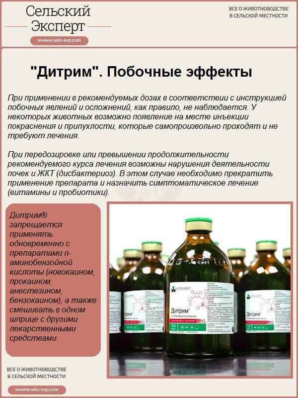 Инструкция по применению препарата «Дитрим» для кроликов