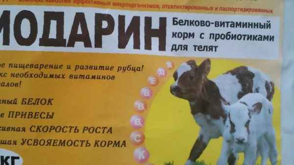 Как давать витамины для роста и развития телят?