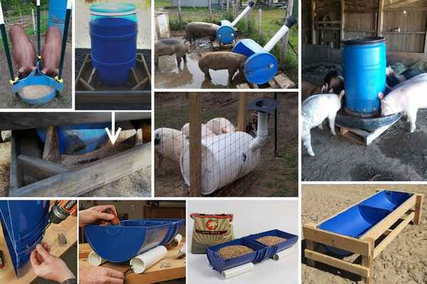 Как сделать кормушку для свиней своими руками?