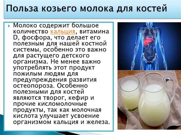 Польза и вред козьего молока для организма мужчин, женщин и детей