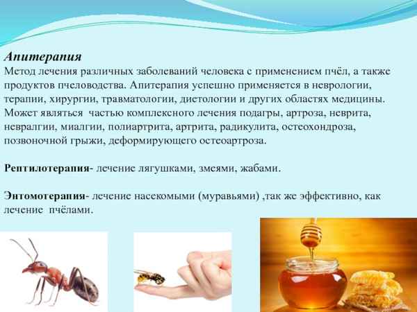 Использование апитерапии при лечении различных заболеваний