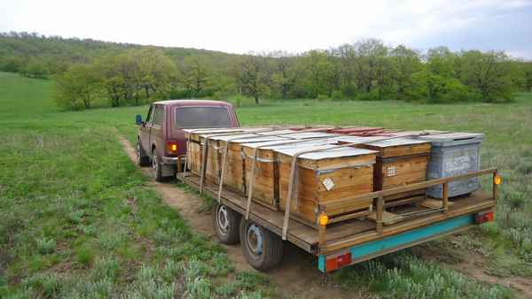 Прицепы для перевозки пчёл: для чего нужен и как им пользоваться