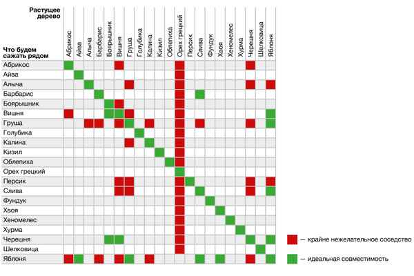 Что можно сажать рядом с вишней
