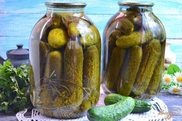Рецепт засолки огурцов на зиму с яблочным уксусом