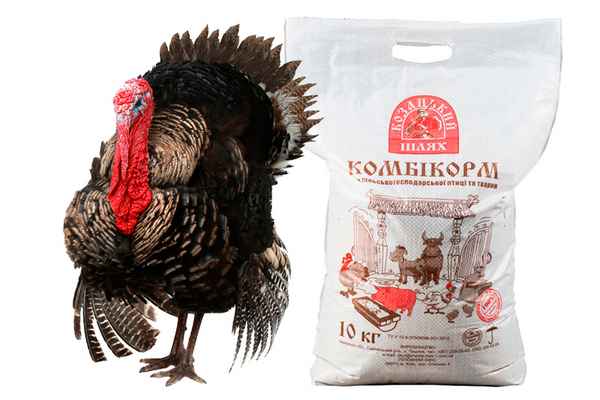 Комбикорм для индюков