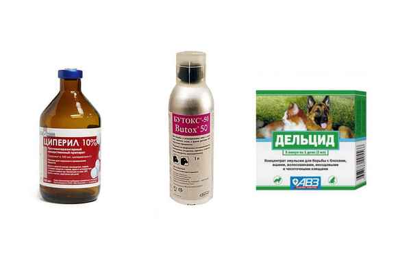 Как вывести пероедов у кур: лечение народными средствами и препаратами, меры профилактики