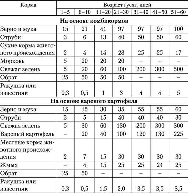 Чем и как правильно кормить гусят в домашних условиях