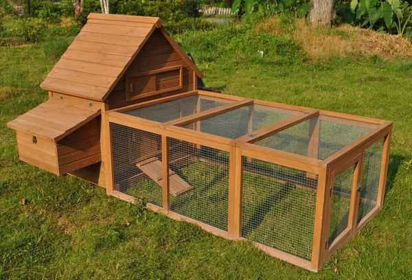 Как построить маленький курятник на 5 кур