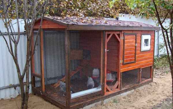 Как построить зимний курятник своими руками