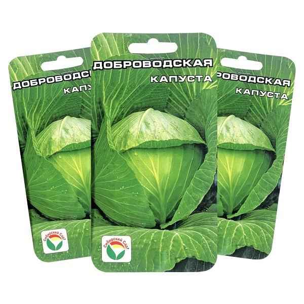 Капуста Доброводская: особенности и хаpaктеристика сорта, выращивание и уход