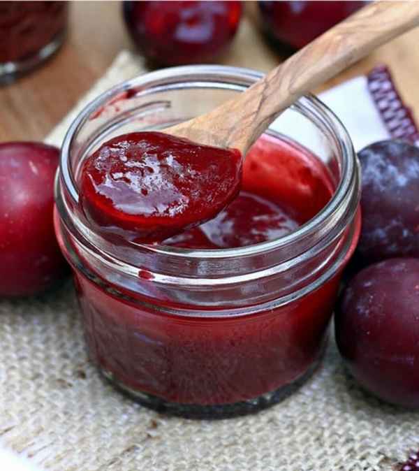 Самые вкусные рецепты заготовок соуса из сливы на зиму