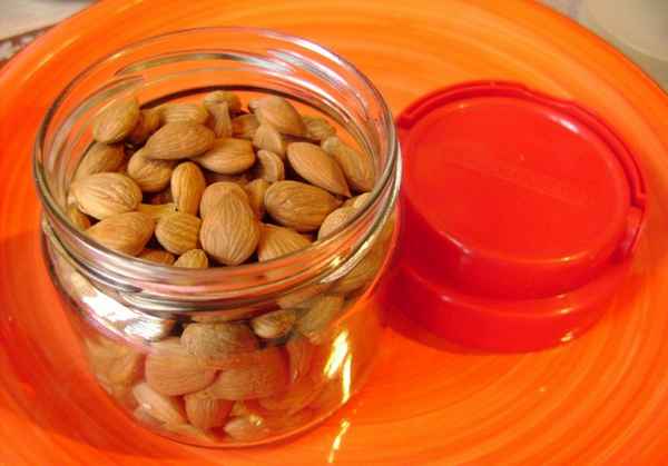 Лечение paка абрикосовыми косточками