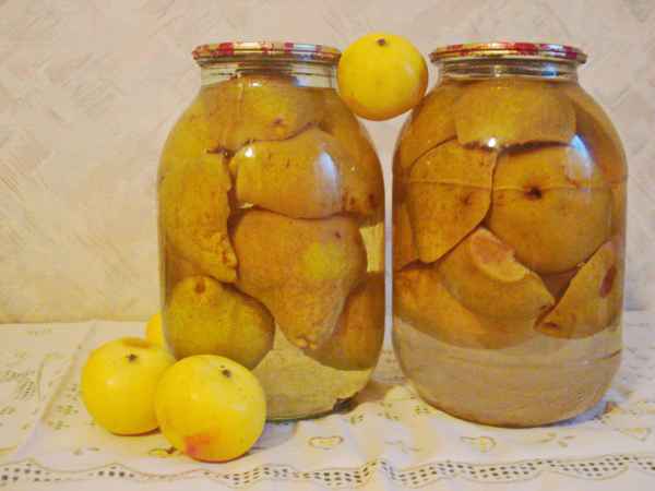 Вкусные рецепты заготовок груши на зиму