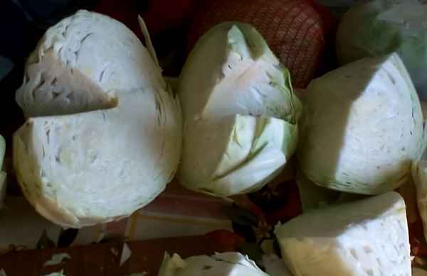 Как засолить капусту вилками на зиму?