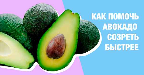 Помогаем авокадо быстрее поспеть