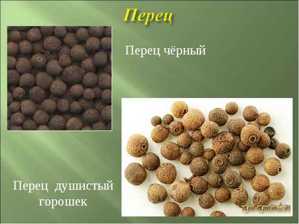 Чем отличается душистый перец от чёрного горошком?