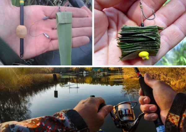 Как ловить белого амура на камыш