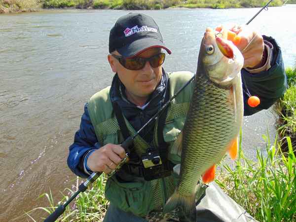 Когда лучше ловить голавля