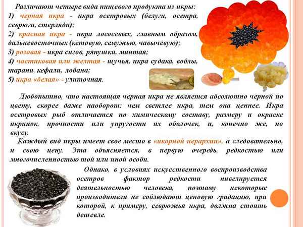 Описание и применение кетовой икры