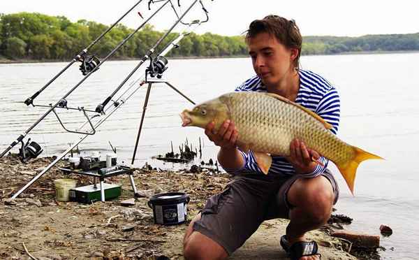 Ловля сазана