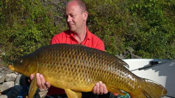 Особенности разведения сазана в домашних условиях