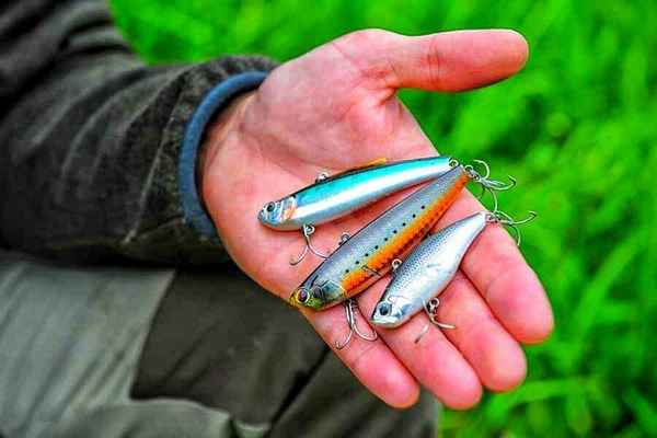 Какие воблеры выбрать для поимки жереха