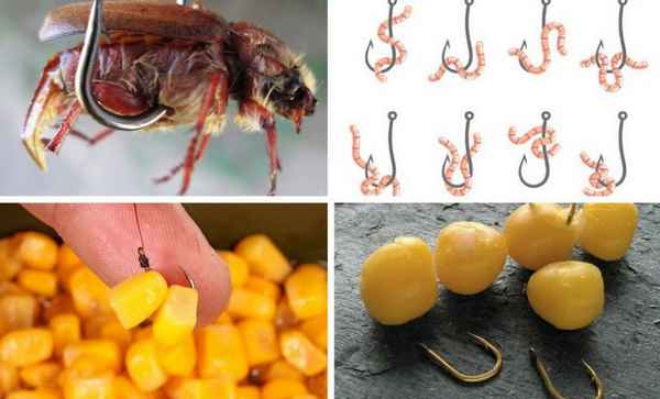 Какую приманку выбрать для ловли голавля и как сделать её своими руками